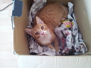 2013-09-30 14.17.06.jpg