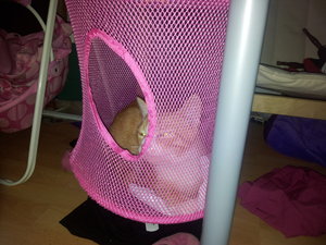 2013-09-18 08.11.50.jpg