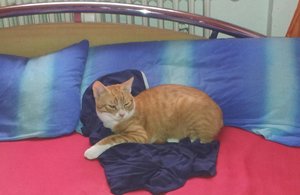 2013-11-14 09.48.57.jpg