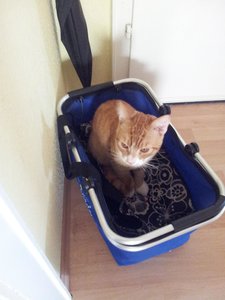 2013-12-03 09.34.56.jpg