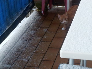 2013-12-06 08.21.04.jpg