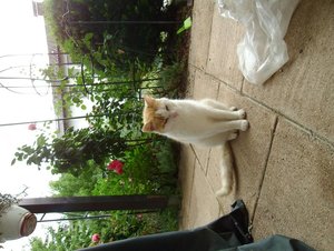 ganzkörpefoto henry.JPG