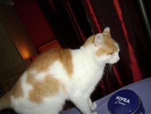 muß das denn sein.JPG