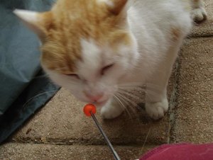 henry clickert 1.JPG