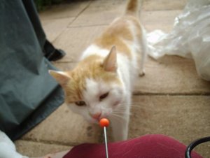 henry clickert 3.JPG