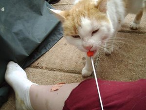 henry clickert 5.JPG