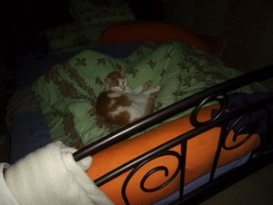 gammelnachmittag im bett 1.JPG