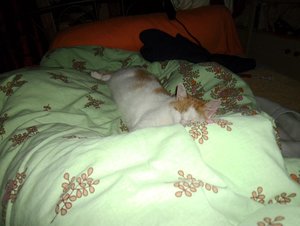 gammelnachmittag im bett 2.JPG