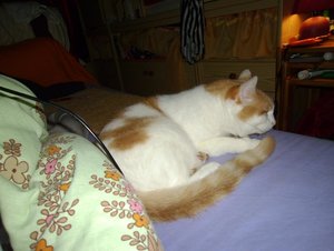 im bett schlafen 1.JPG