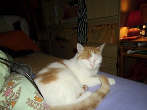 im bett schlafen 2.JPG