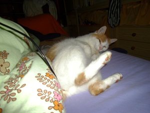 relaxt im bett 4.JPG