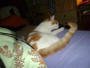 relaxt im bett 3JPG.JPG