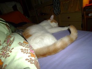 relaxt im bett 1.JPG