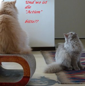 Und wo ist die Action.jpg
