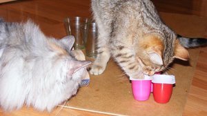 Fummelbrett Marke Eigenbau.16.12.2013.4.jpg