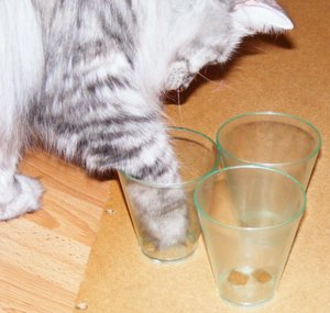 Fummelbrett Marke Eigenbau.16.12.2013.6.jpg