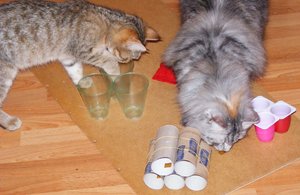 Fummelbrett Marke Eigenbau.16.12.2013.3.jpg