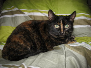 Sheila am 5.12.13.JPG