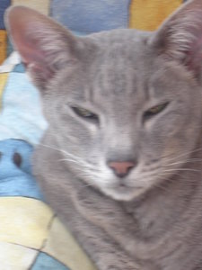 Ivy und Simon 008.jpg