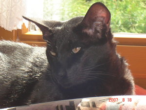 Ivy und Simon 012.jpg