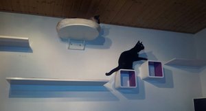 Catwalk in Benutzung (2).jpg