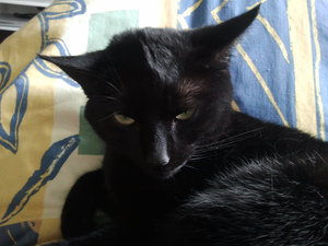 2012-05-09 10.24.48.jpg