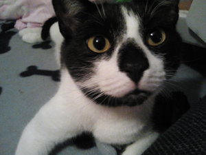 2012-10-08 21.30.01.jpg