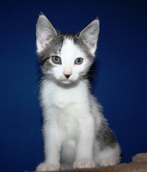 Micky's Bewerbungsfoto.jpg