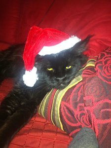 2013-12-25 17.11.25.jpg