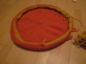 Bonzo und filzbettchen 008.JPG