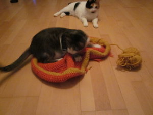 Bonzo und filzbettchen 009.JPG