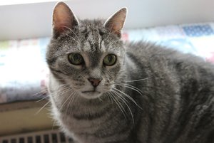 IMG_0022 - Kopie.JPG