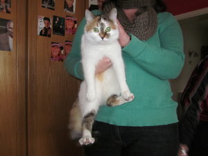 Filzbettchen Mausi 003.JPG