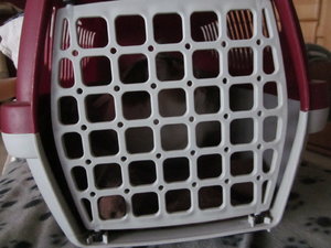 Filzbettchen Mausi 006.JPG