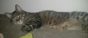 2013_06_13 22.23.01_1_1.jpg