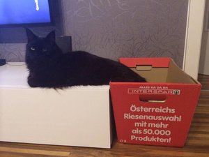 ImageUploadedByTapatalk1390504267.610918.jpg ImageUploadedByTapatalk1390504267.610918.jpg