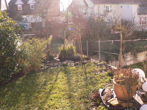 garten 005.JPG