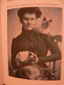 alte katzenbilder 004.JPG