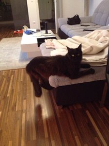 ImageUploadedByTapatalk1390640773.652338.jpg ImageUploadedByTapatalk1390640773.652338.jpg