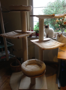 Bildschirmfoto 2014-01-26 um 00.05.16.png