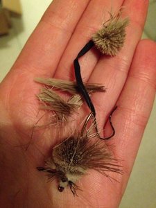 ImageUploadedByTapatalk1391087854.342748.jpg ImageUploadedByTapatalk1391087854.342748.jpg