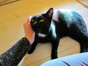 IMG_1386 - Kopie.JPG