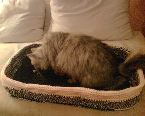 Finns neues Körbchen6.jpg