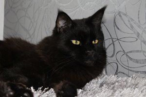 IMG_3255 (Large).JPG