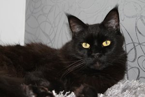 IMG_3256 (Large).JPG