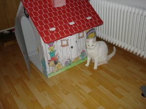 hazus und mehr 005.JPG