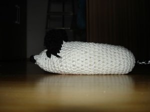 Neue Rattenmuster 011.JPG