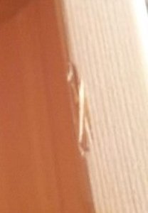 Kratzbaum Schadstelle (3).jpg