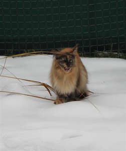 IMG_3294 (Large).JPG