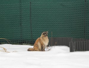 IMG_3302 (Large).JPG